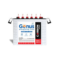 Genus 200AH Carbon Battery